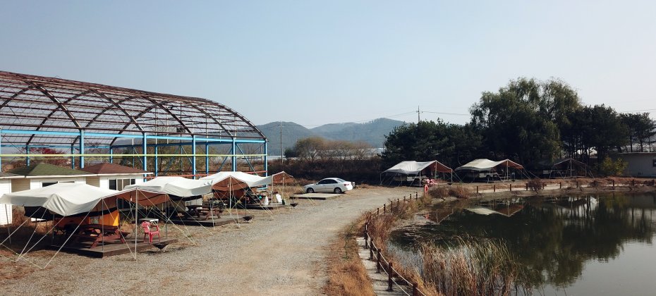 Yongin Songwon Glamping Park Camping Tour &amp; Everland (35/51)