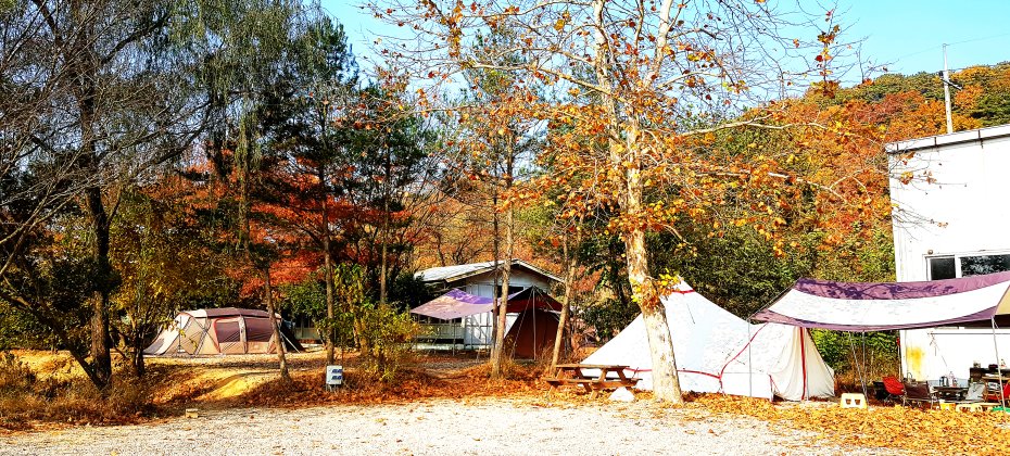 Yongin Songwon Glamping Park Camping Tour &amp; Everland (37/51)