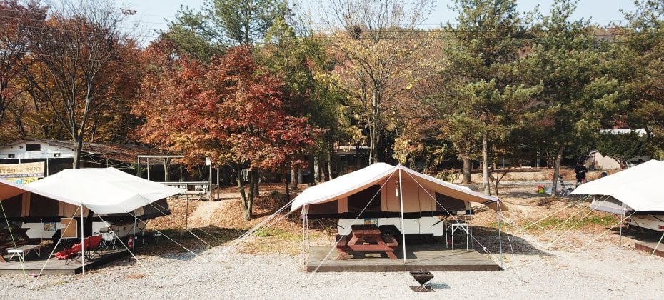 Yongin Songwon Glamping Park Camping Tour &amp; Everland (40/51)