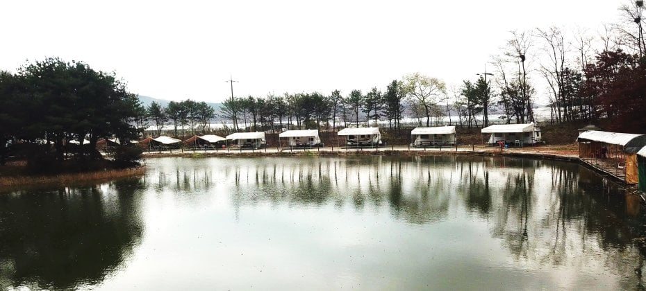 Yongin Songwon Glamping Park Camping Tour &amp; Everland (44/51)