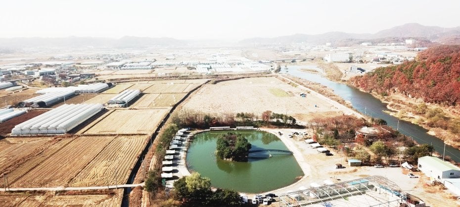 Yongin Songwon Glamping Park Camping Tour &amp; Everland (46/51)
