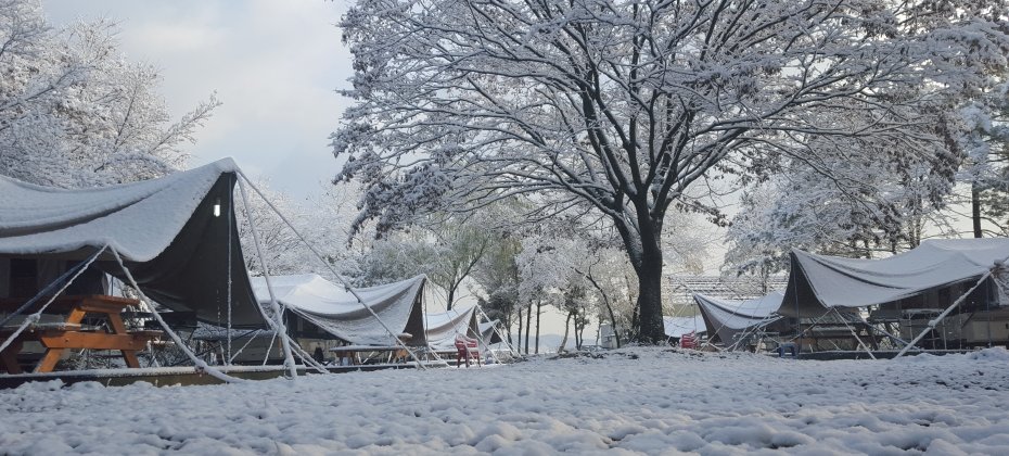 Yongin Songwon Glamping Park Camping Tour &amp; Everland (50/51)