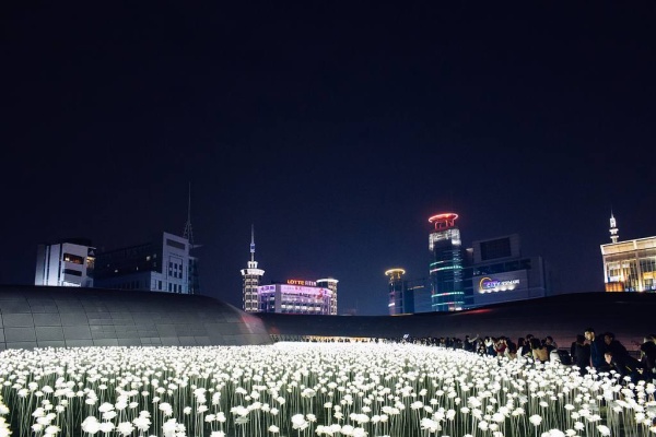 [Korean Travel]Romantic Evening Out at Lighting Festivals around Seoul