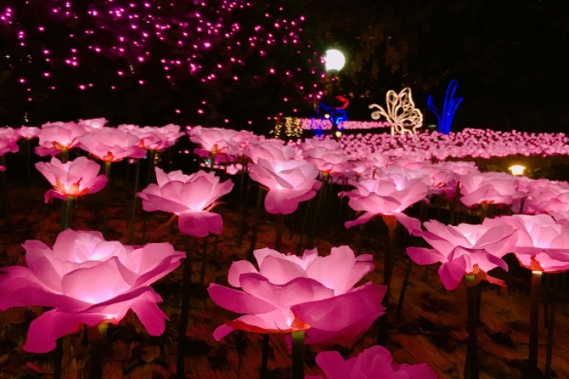 E-World Starlight Festival  (33/58)