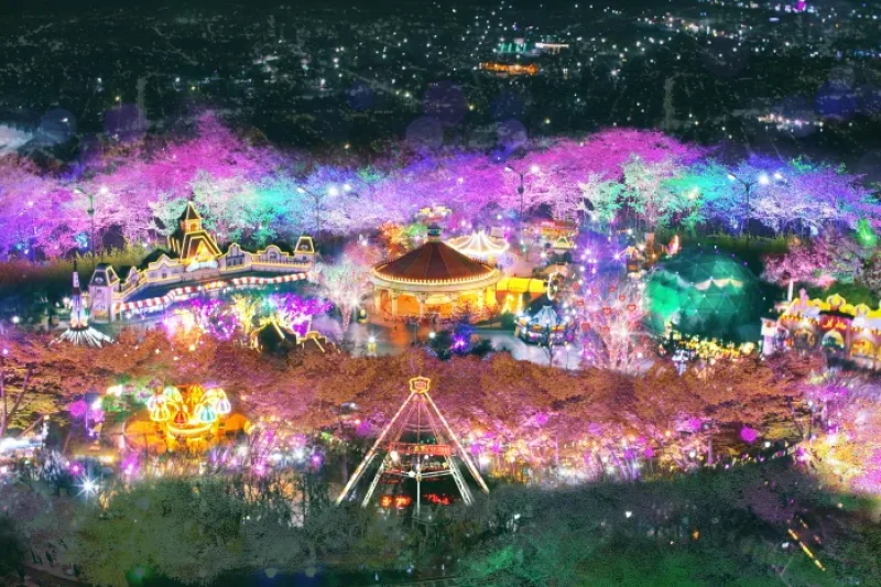 E-World Starlight Festival  (34/58)