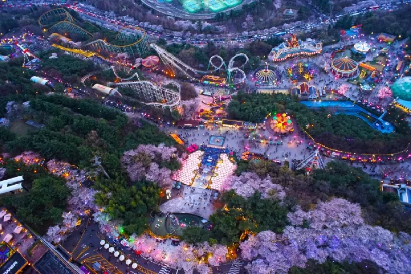 E-World Starlight Festival  (36/58)