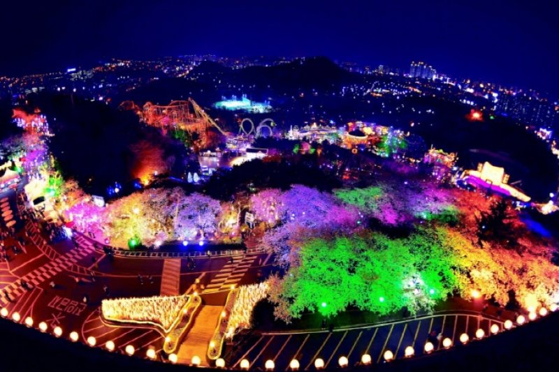 E-World Starlight Festival  (37/58)