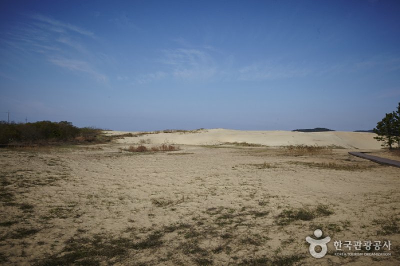 Sinduri Coastal Sand Dune  (9/13)