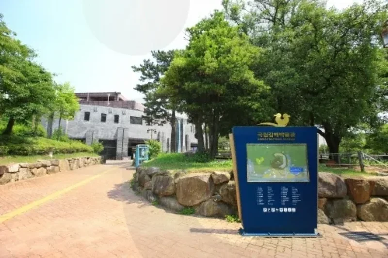 Seollal Traditional &amp; Cultural Event of Gimhae National Museum  (2/3)
