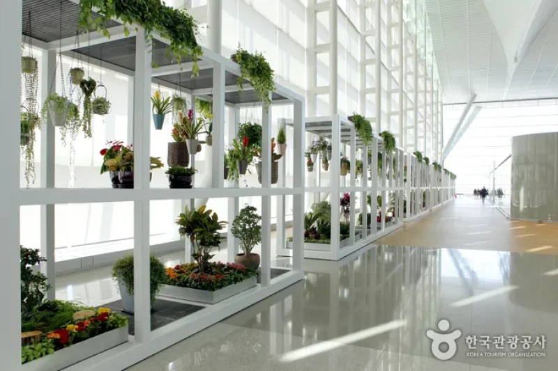 Incheon International Airport Terminal 2 (5/23)