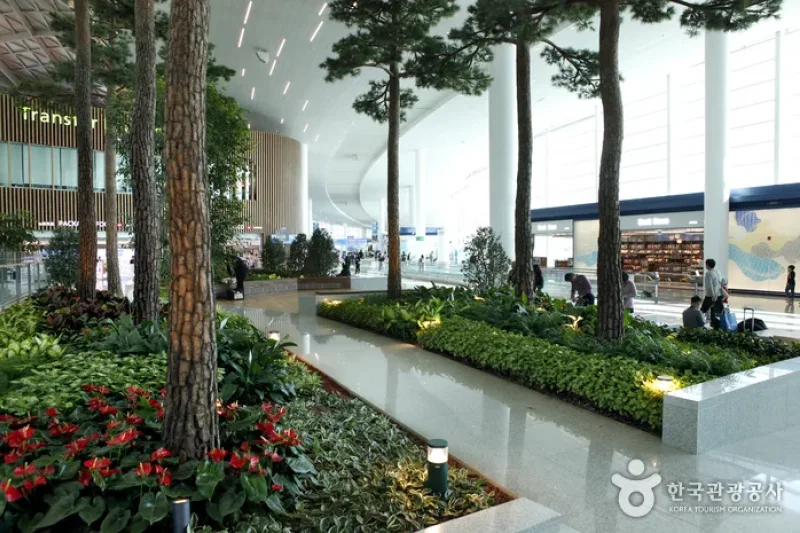 Incheon International Airport Terminal 2 (7/23)