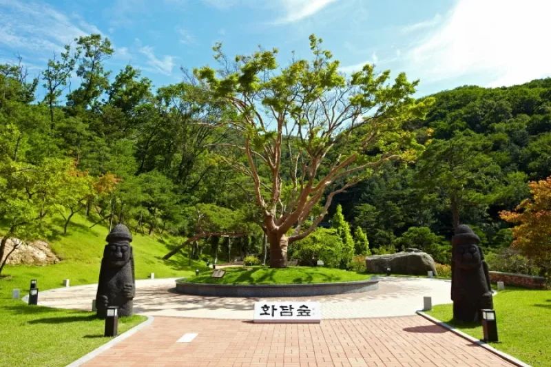Hwadam Botanic Garden  (1/9)
