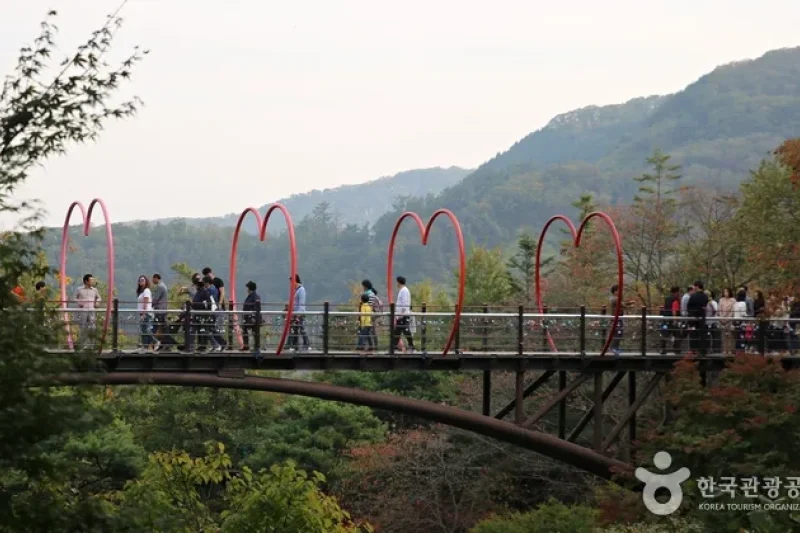 Hwadam Botanic Garden  (3/9)