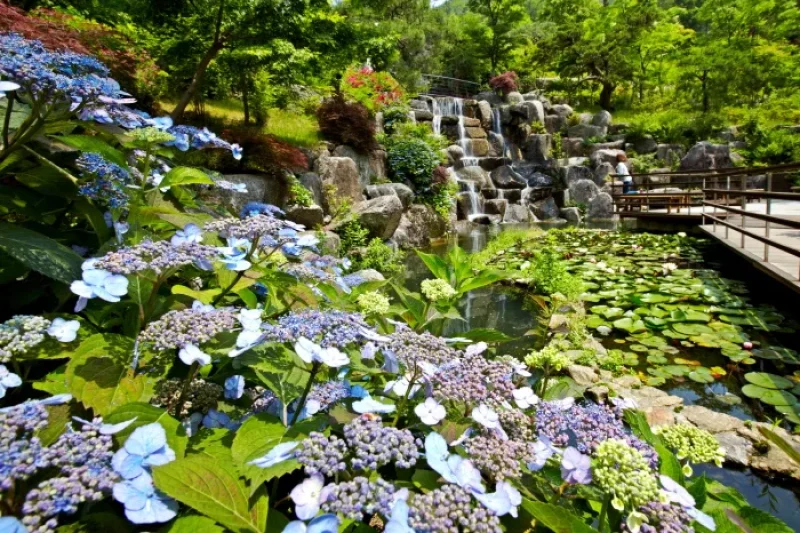 Hwadam Botanic Garden  (6/9)