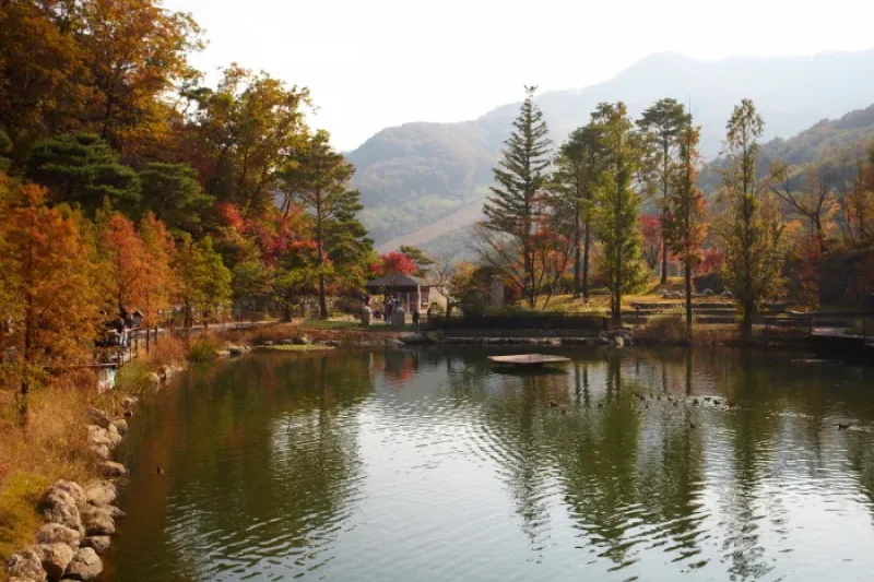 Hwadam Botanic Garden  (8/9)