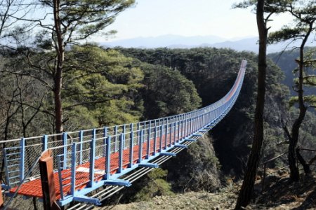 Wonju Sogeumsan Mountain Suspension Bridge 