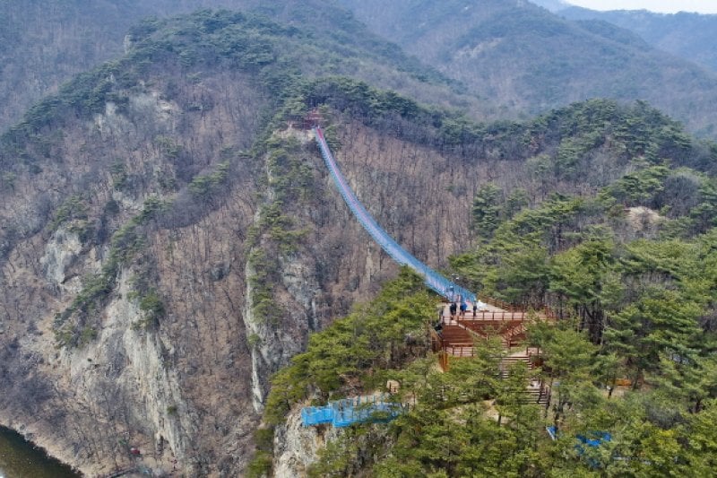Wonju Sogeumsan Mountain Suspension Bridge  (4/23)