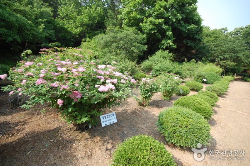 The Kwanak Arboretum of Seoul National University  (2/6)