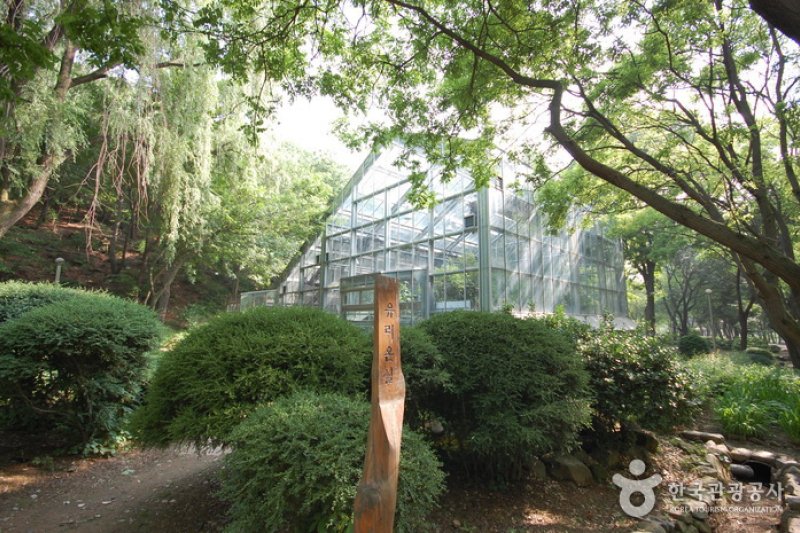 The Kwanak Arboretum of Seoul National University  (3/6)