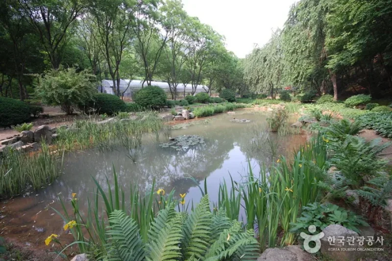 The Kwanak Arboretum of Seoul National University  (4/6)