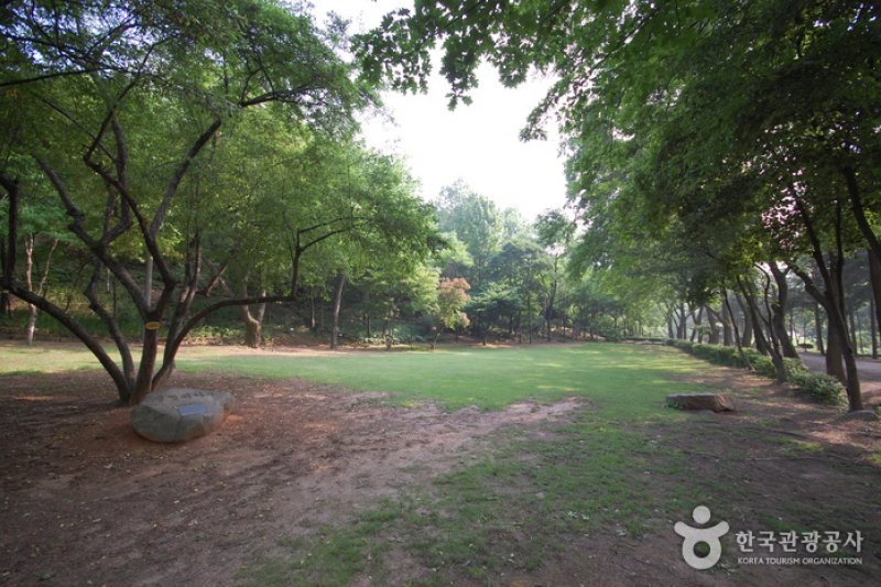 The Kwanak Arboretum of Seoul National University  (5/6)