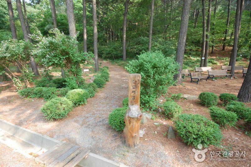 The Kwanak Arboretum of Seoul National University  (6/6)