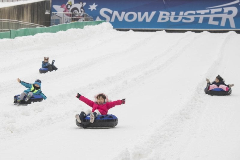 Everland Snow Festival  (2/6)