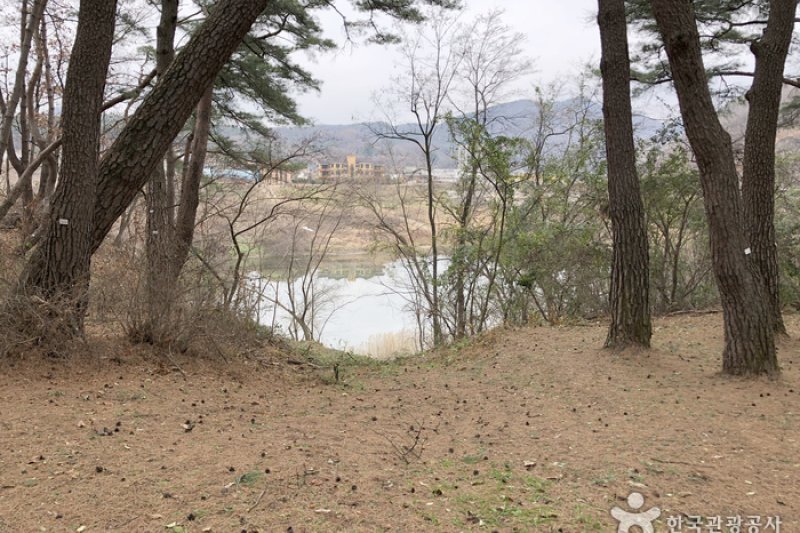 Yeongwol Cheongnyeongpo Cape  (31/46)