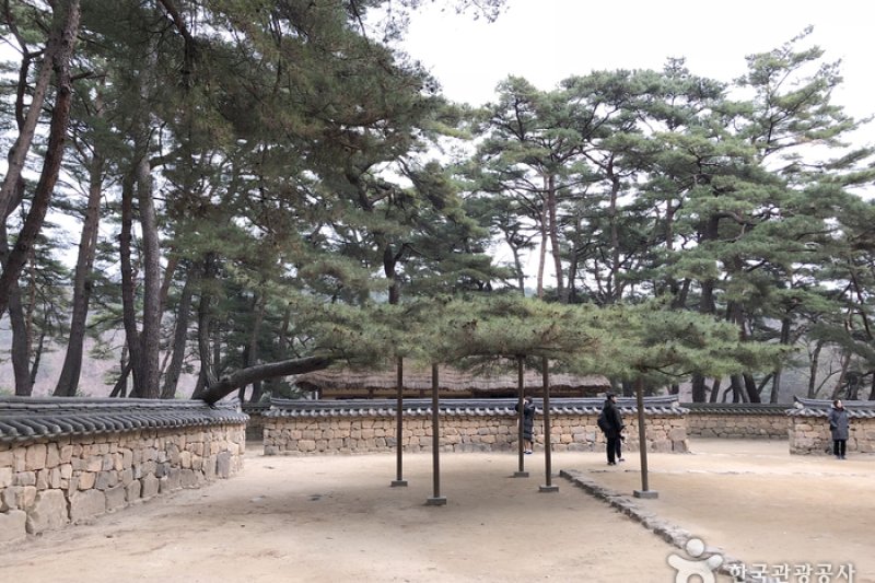 Yeongwol Cheongnyeongpo Cape  (33/46)