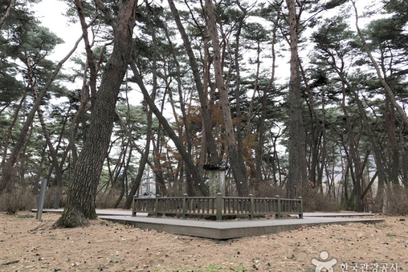 Yeongwol Cheongnyeongpo Cape  (38/46)