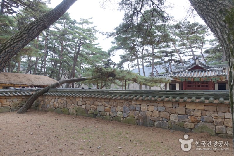 Yeongwol Cheongnyeongpo Cape  (46/46)