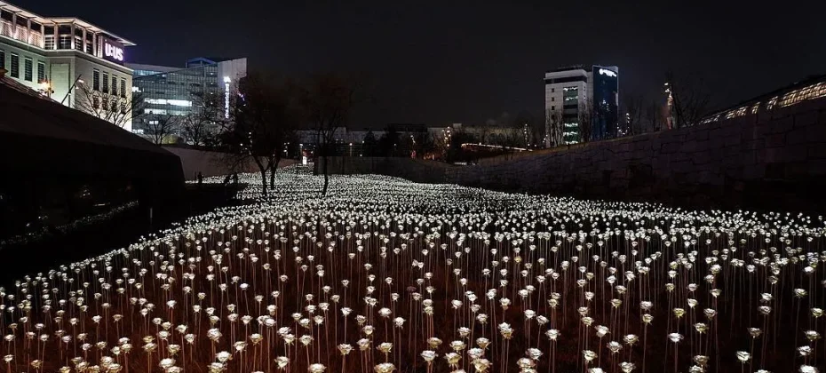 DDP LED Rose Garden (4/7)