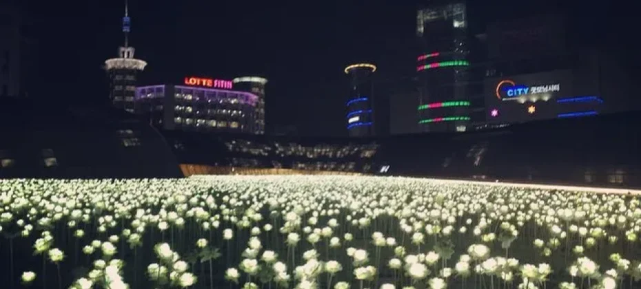 DDP LED Rose Garden (7/7)