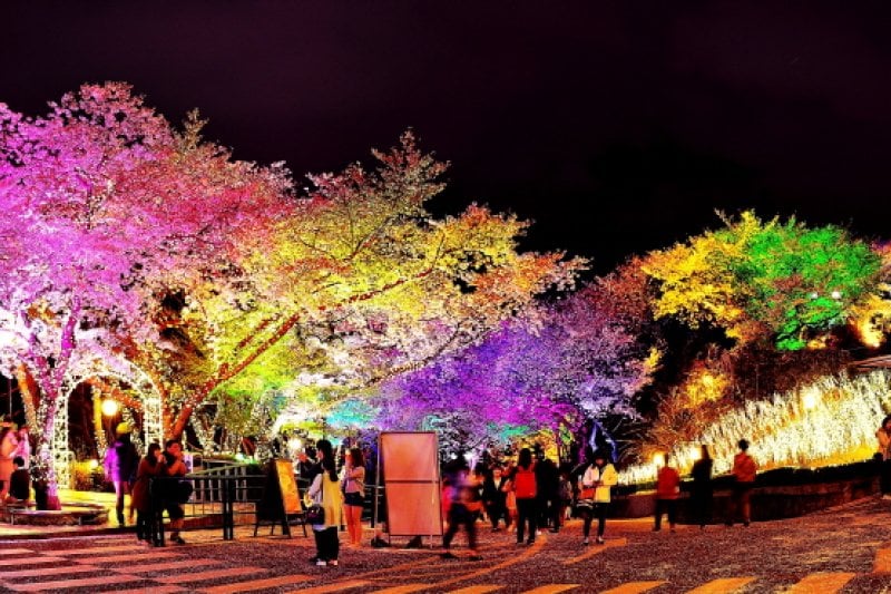 E-World Starlight Festival (19/36)