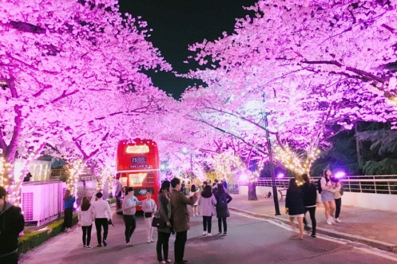 E-World Starlight Festival (20/36)