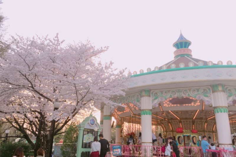 E-World Starlight Festival (24/36)