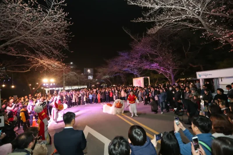 Let's Run Park Seoul Nighttime Cherry Blossom Festival  (2/5)