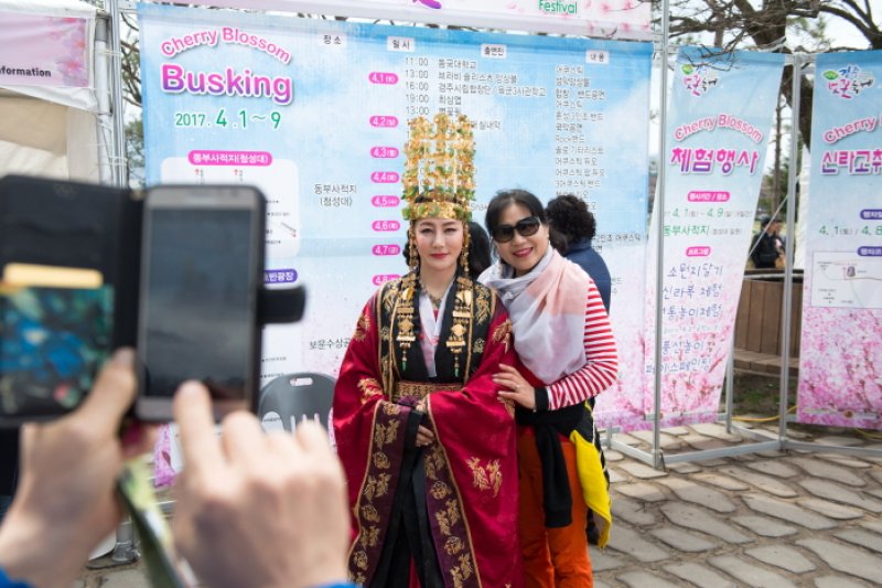 Gyeongju Cherry Blossom Festival  (1/8)