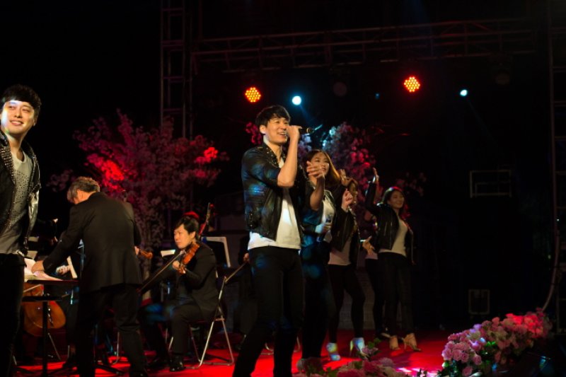 Gyeongju Cherry Blossom Festival  (2/8)