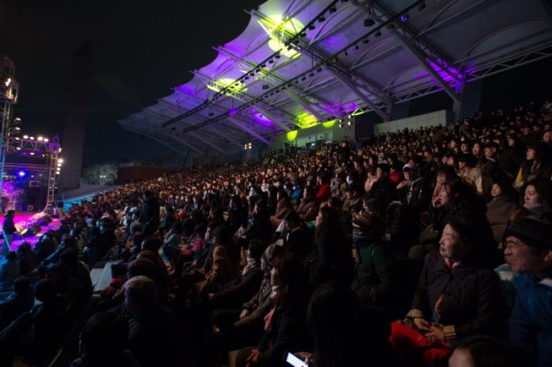 Gyeongju Cherry Blossom Festival  (3/8)