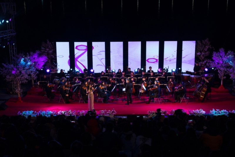 Gyeongju Cherry Blossom Festival  (4/8)