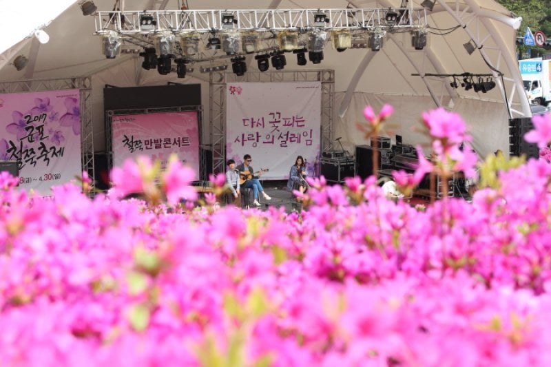 Gunpo Royal Azalea Festival  (14/19)