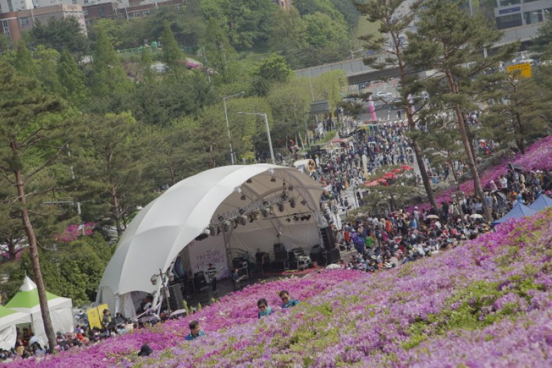 Gunpo Royal Azalea Festival  (15/19)
