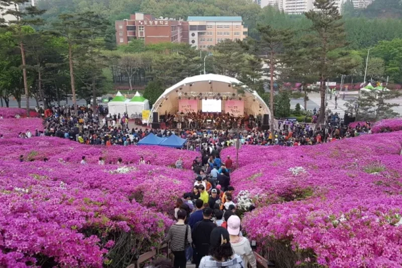 Gunpo Royal Azalea Festival  (16/19)