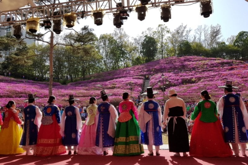 Gunpo Royal Azalea Festival  (17/19)