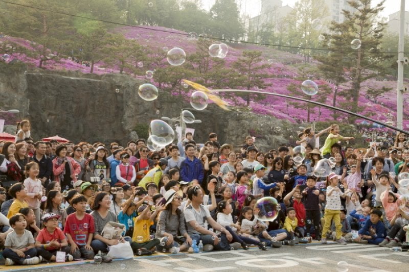 Gunpo Royal Azalea Festival  (18/19)