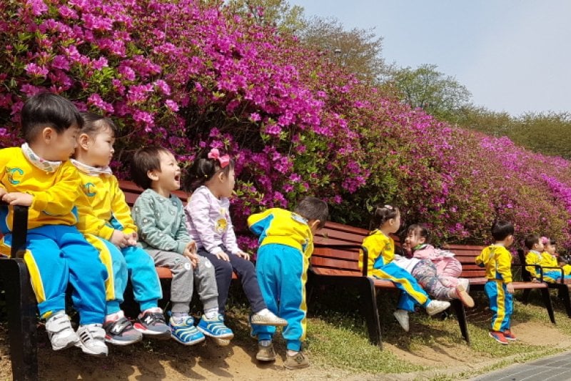 Gunpo Royal Azalea Festival  (19/19)