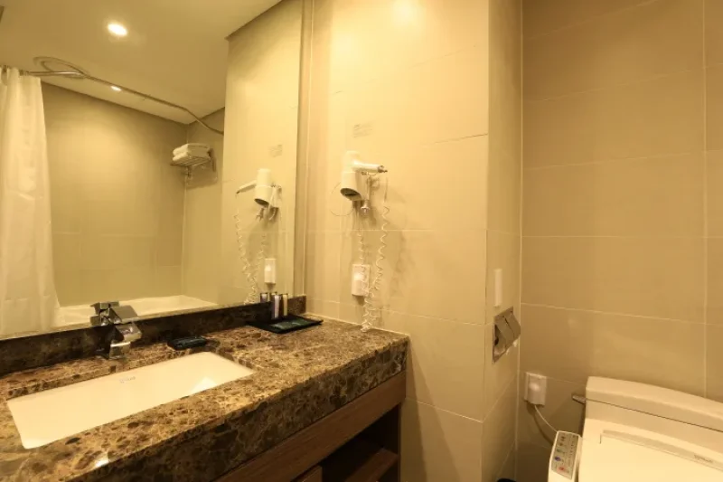 Loisir Hotel Seoul Myeongdong (르와지르호텔 서울명동)[한국관광품질인증/Korea Quality] (5/31)