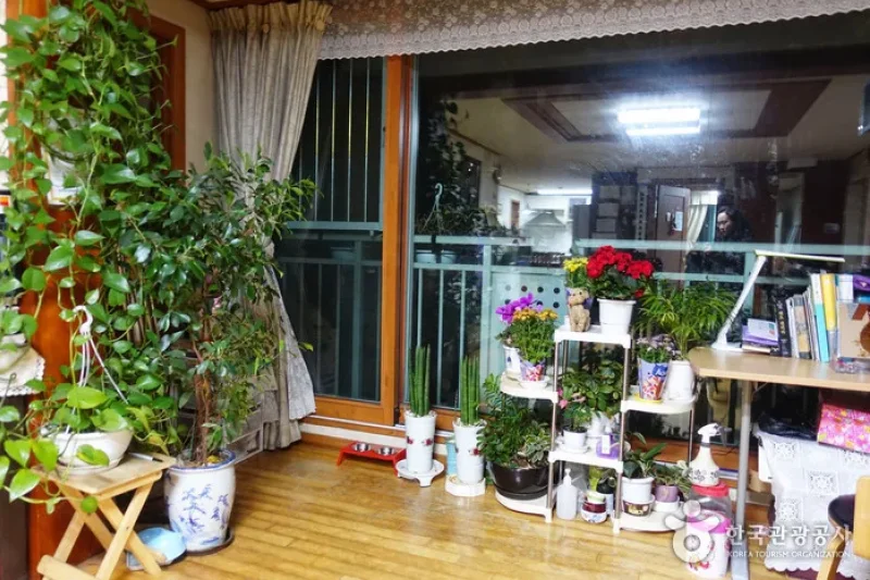 Gyodae Guesthouse(교대게스트하우스)[한국관광품질인증/Korea Quality] (7/13)