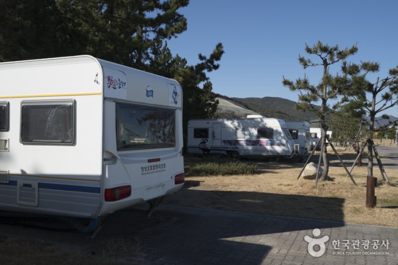 Mangsang Auto Camping Resort (망상오토캠핑리조트) [한국관광품질인증/Korea Quality] (3/10)